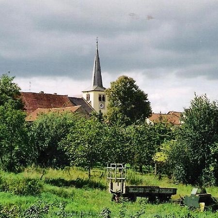 Pension "Am Tor Zum Mainbogen" Grettstadt エクステリア 写真