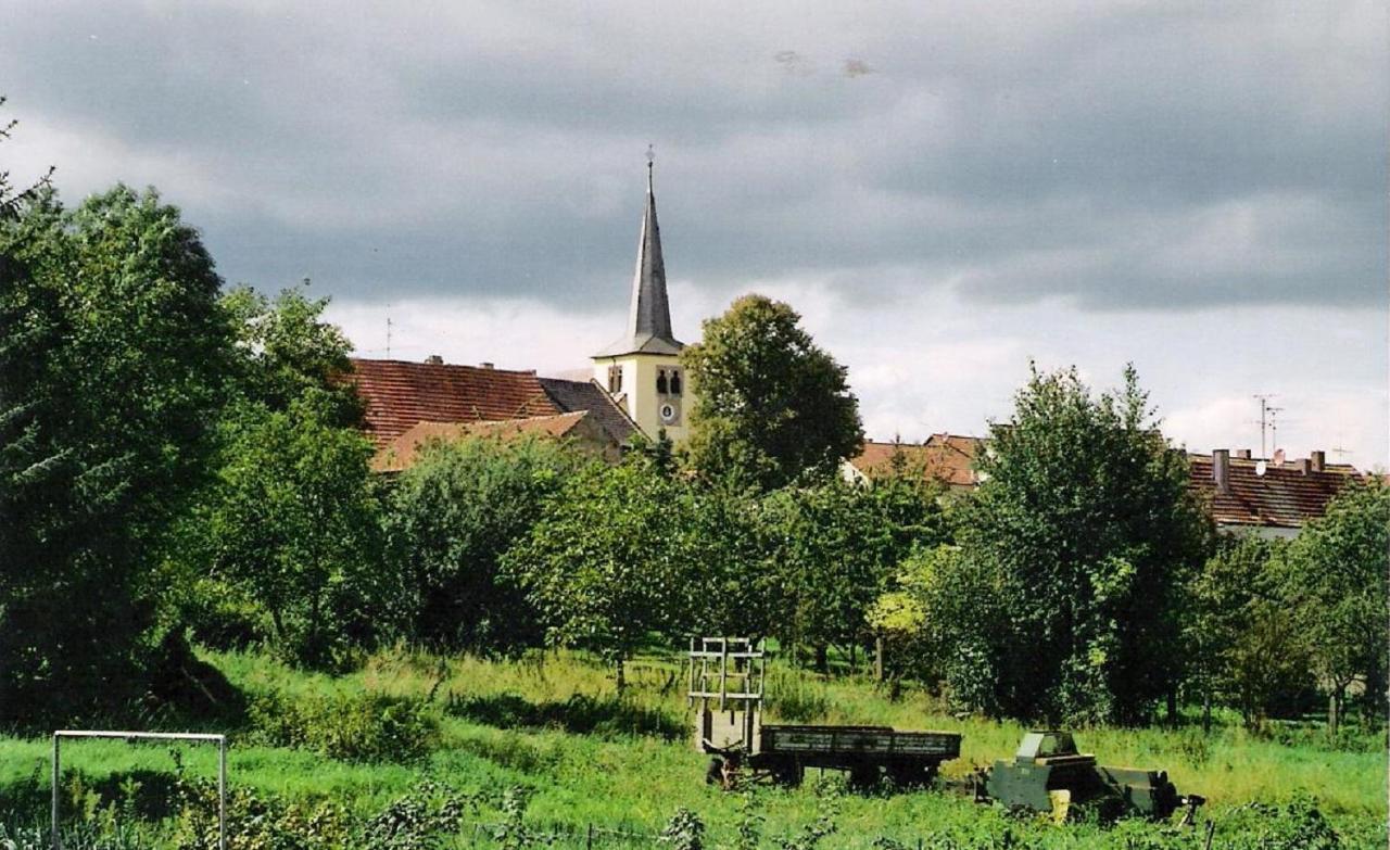 Pension "Am Tor Zum Mainbogen" Grettstadt エクステリア 写真